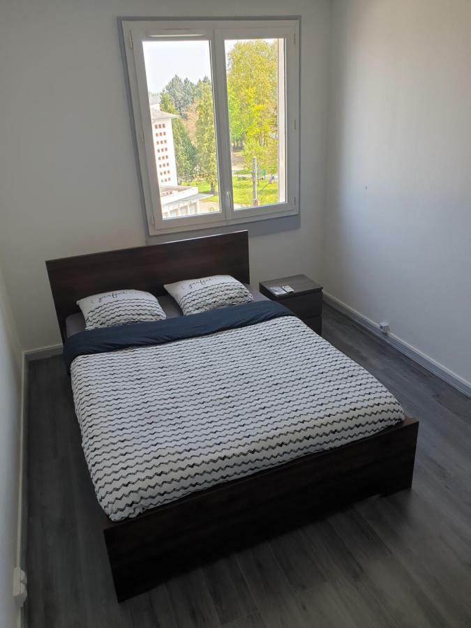 Appartement Des Bigarelles A Бурж Екстер'єр фото